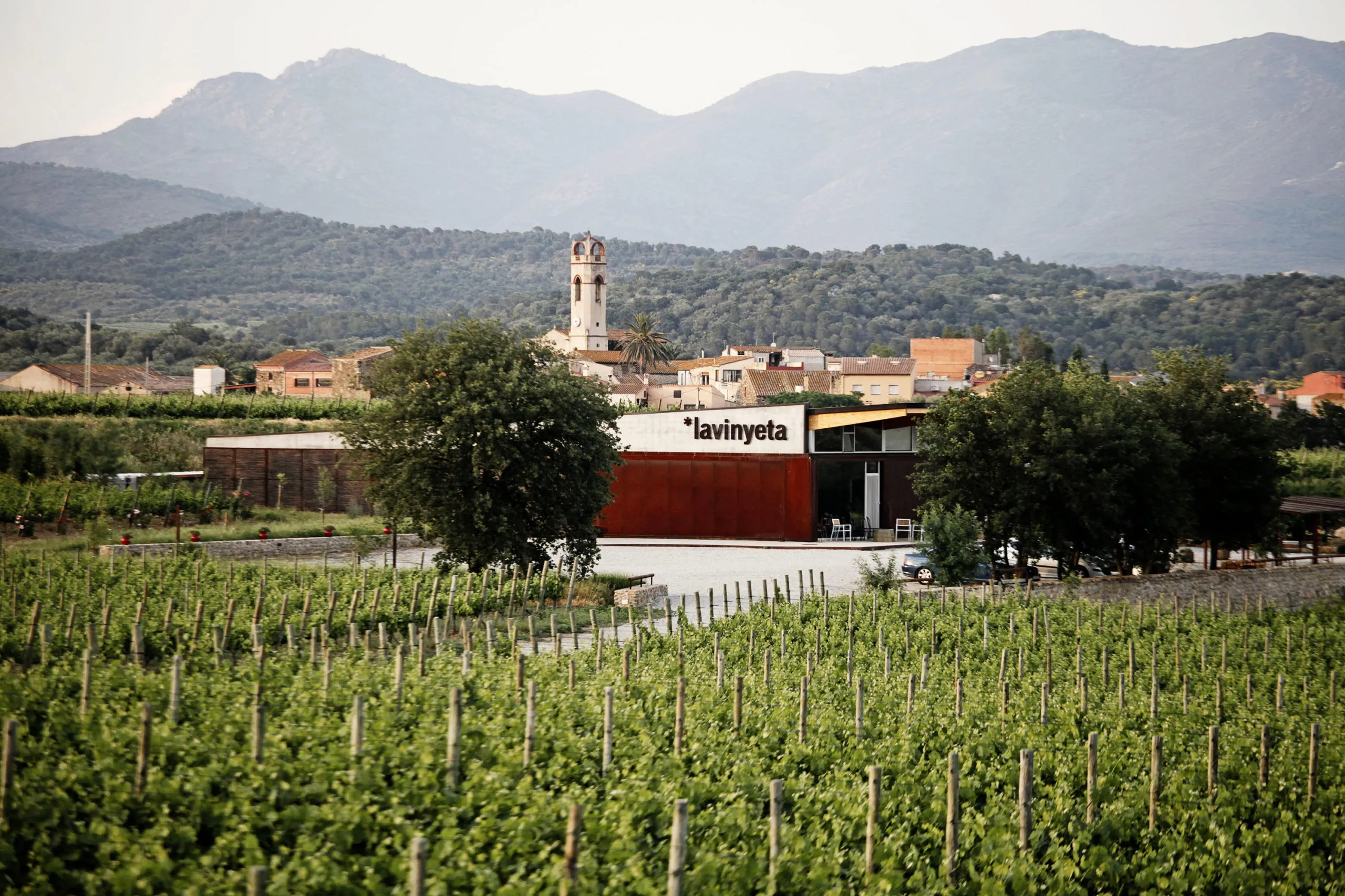 La Vinyeta-2